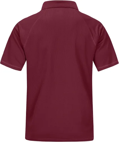 Vista 2 de Polo de golf para hombre que absorbe la humedad, UPF 50+, manga corta, M-5XL