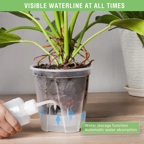 Vista 4 de GREENPARA - Maceta transparente de riego automático de 5 pulgadas, maceta con depósito Depósito transparente • Nivel de agua visible • Agujeros