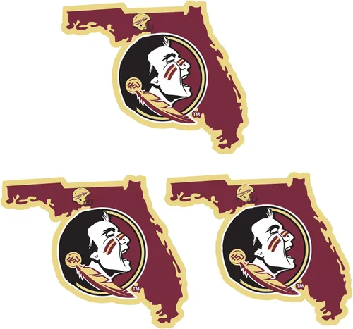 Vista 4 de AGANS NCAA unisex Home State Decal