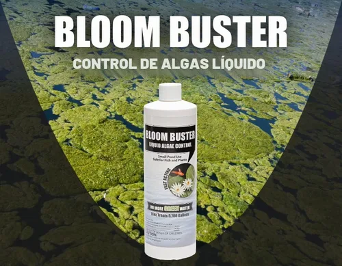Vista 9 de Bloom Buster Pond Control de algas – 16 oz – Algicida de acción rápida, uso en fuentes y estanques al aire libre que contienen koi y otros peces