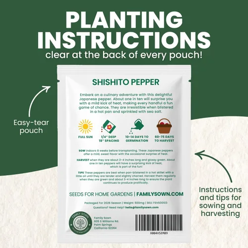 Vista 3 de Pimiento Shishito – 60 semillas premium para plantar – Pimiento especial dulce, sabroso y de alto rendimiento para la temporada 2026 – Bolsa de 500