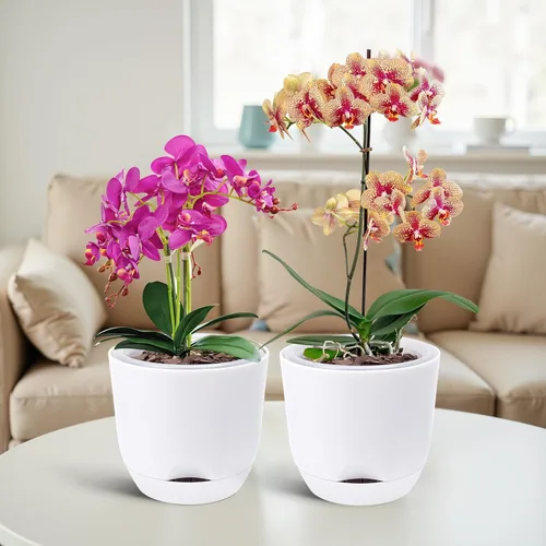 Vista 5 de QCQHDU Paquete de 2 macetas de orquídeas de 7.2 pulgadas con agujeros para trasplantar, maceta de orquídea de doble capa y riego automático
