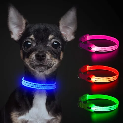 Vista 2 de YFbrite Collar LED para perro XS, ligero collar para gato, cómodo collar de cachorro iluminado, recargable por USB, luz de seguridad ajustable