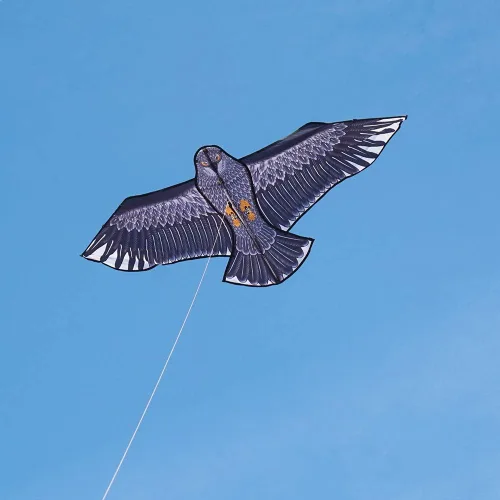 Vista 3 de Besra Cometa de pájaro fénix con cola larga, para deportes al aire libre, para playa y parque Águila de 74 pulgadas