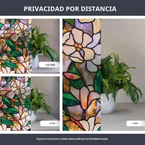 Vista 4 de Artscape 01 – 0113 24" x 36" Magnolia Diseño Ventana Cine Multicolor