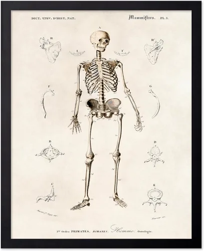 Vista 68 de Poster Master Póster de fotografía vintage, impresión gótica retro, regalo para artista, amigo, Halloween, familia espeluznante, disfraz extraño