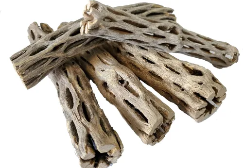 Vista 8 de Madera natural de cholla para decoración de acuarios, camarones y peceras (4 pulgadas (paquete de 2)