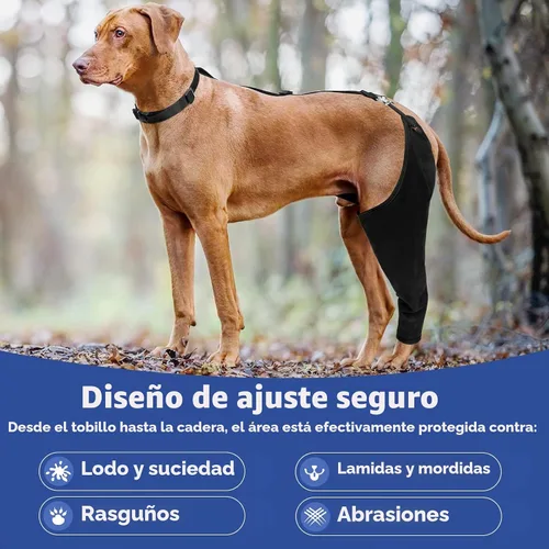 Vista 5 de BARKLESS Manga de pierna trasera para un solo perro para dejar de lamer, traje de recuperación transpirable para perro macho hembra para poscirugía