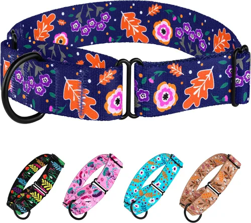 Vista 14 de CollarDirect Martingale - Collar de nailon resistente para perros pequeños, medianos y grandes [nailon, estampado, aguamarina, L, 15-20 pulgadas)