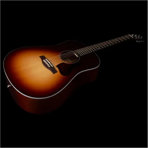 Vista 2 de SEAGULL Entourage Otoño Burst Presys II
