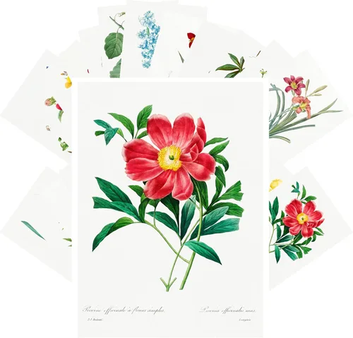 Vista 13 de PIXILUV Johann - Postales vintage (24 unidades), diseño de flores salvajes, jardín, aun vida, arte de pintura de museo antiguo, reimpresión