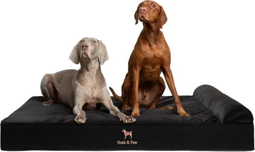 Vista 32 de NOAH & PAW Cama pequeña para perros, 20 x 15 x 6.5 pulgadas, cama para gatos de interior, espuma viscoelástica ortopédica de cáscara de huevo Verde