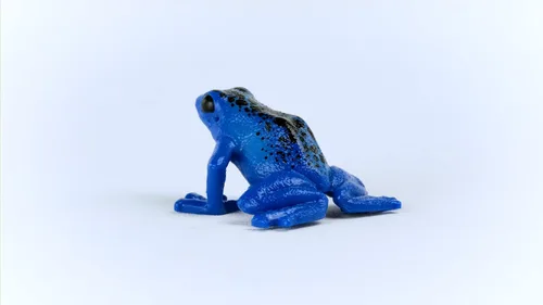 Vista 5 de Schleich Wild Life - Juguetes de selva tropical de animales salvajes para niños, juguete de rana de dardos venenosos, azul, edades 3+