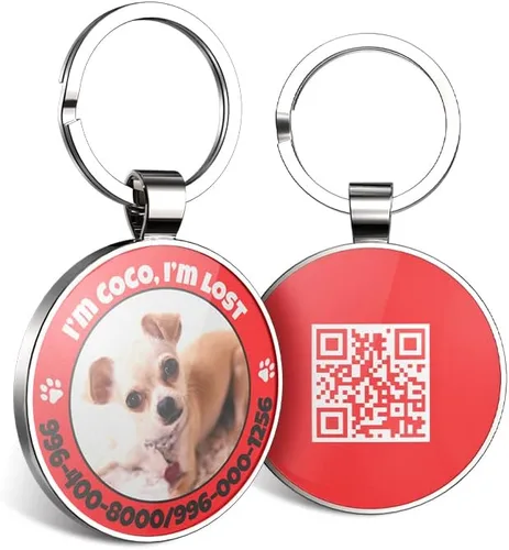 Vista 11 de Etiquetas de perro QR personalizadas para mascotas, etiquetas de identificación de código QR, etiquetas de identificación de mascotas inteligentes