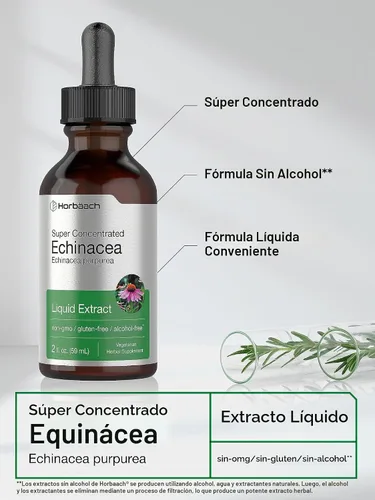 Vista 4 de Horbaach Echinacea Drops Herb Tintura 2 fl oz Extracto de raíz súper concentrado Líquido sin alcohol Suplemento vegetariano, sin OMG y sin