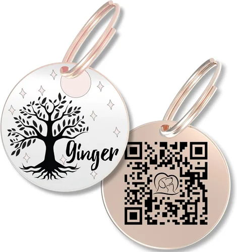 Vista 14 de PawFurEver Placa para perro con código QR – Etiquetas de identificación personalizadas para perros, etiqueta de perro grabada y etiqueta para Oro