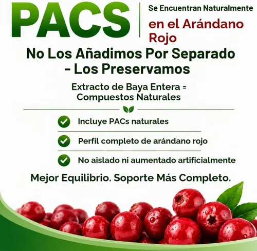 Vista 5 de Cápsulas de extracto de arándano 50:1 concentrado de fruta entera, con diente de león y Uva Ursi, fórmula herbaria de alta potencia, soporte