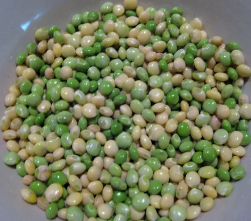 Vista 2 de Paloma PEA conocida como/Gandules/Gungo jamaicano/Congo Guisantes 100+semillas - reliquia
