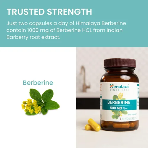 Vista 6 de Himalaya Berberina - Suplemento herbal para apoyar el metabolismo normal, inmunidad y salud digestiva - Vegano, sin gluten, 500 mg, 60 cápsulas