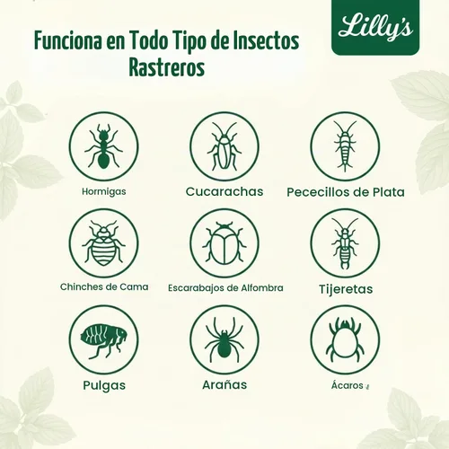 Vista 3 de Tierra de diatomeas de grado alimenticio con aceite de menta para insectos Polvo de control de plagas de interior para chinches, cucarachas