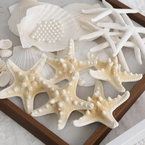 Vista 8 de JSPYFITS Estrellas de mar grandes de 2.5 a 4 pulgadas y conchas de vieira para manualidades, 12 unidades, conchas naturales de mar de playa