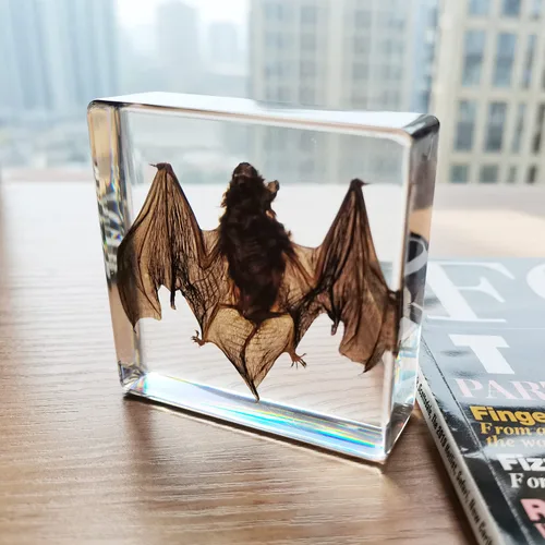 Vista 6 de Muestras de murciélago reales en manualidades de pisapapapeles de resina, colección de taxidermia de animales para educación científica y adorno