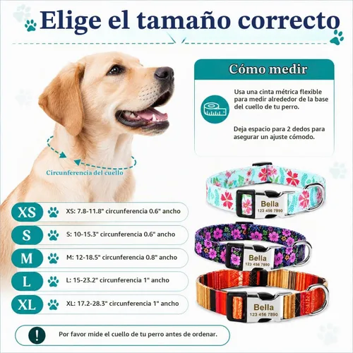 Vista 5 de Collar de perro personalizado personalizado con etiqueta de identificación grabada, nombre de perro y número de teléfono/collares de perro