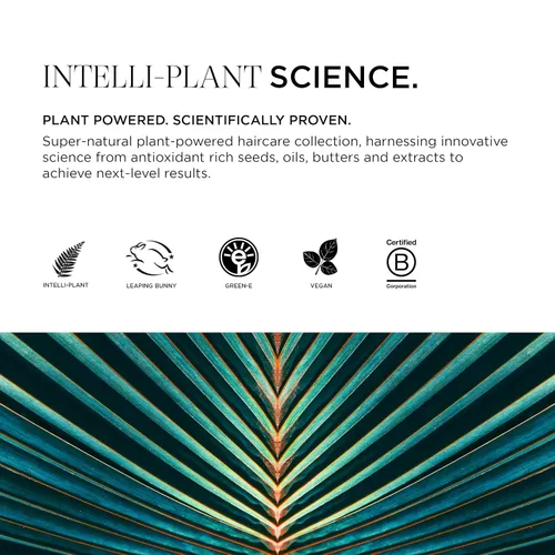 Vista 5 de Intelligent Nutrients Fortifi-hair Acondicionador hidratante reparador intensivo para cabello seco y dañado, rejuvenece, reconstruye, vegano, 8 onzas