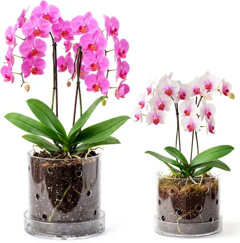Vista 16 de Maceta de orquídea acrílica transparente de 4 pulgadas con agujeros redondos de 360° y bandeja