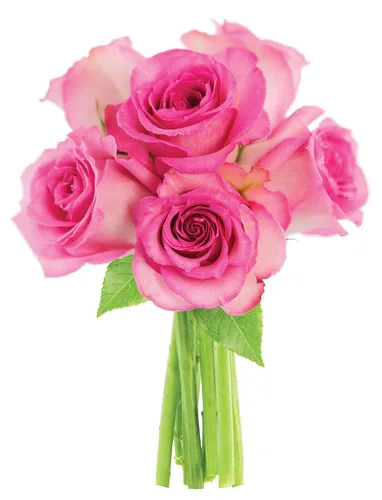 Vista 65 de KaBloom - Rosas arcoíris (media docena)- Flores frescas para cumpleaños, San Valentín y Día de la Madre