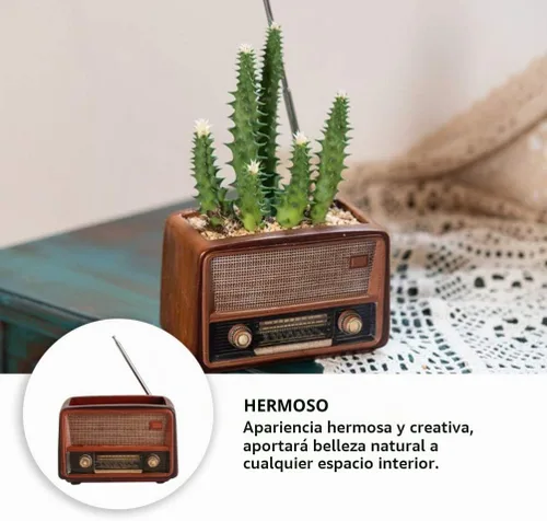 Vista 3 de BESTOYARD Maceta con forma de radio creativa retro maceta suculenta planta contenedor escritorio maceta cactus planta maceta