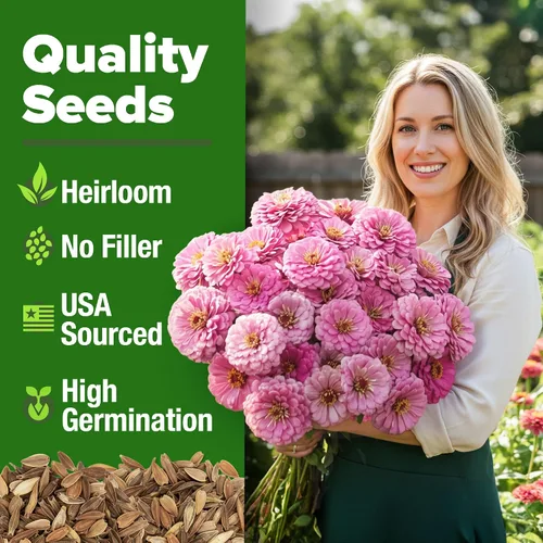 Vista 2 de HOME GROWN Semillas de zinnia rosa – 300 zinnias Luminosa 0.5g, semillas anuales de flores fáciles de cultivar para plantar al aire libre para 2026