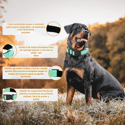 Vista 2 de Paquete de 2 collares reflectantes para perros con hebilla de cierre de seguridad, collar de nailon suave, transpirable y cómodo ajustable