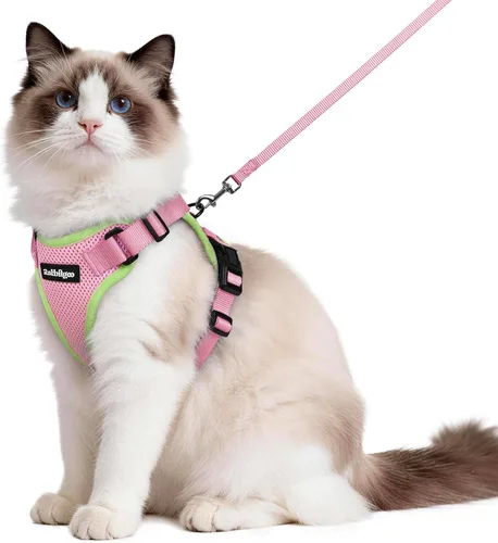 Vista 100 de rabbitgoo Cat Harness and Leash Set, Escape Proof Vest, XXS, Berry Pounce Soft Breathable Mesh, No-choke Adjustable Fit, Snap Buckles, Sturdy