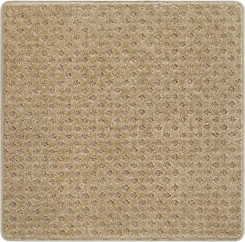 Vista 11 de PURE ERA Alfombra Antideslizante para Escaleras, Tapete Adhesivo, Antideslizante, Resistente al Deslizamiento, Felpudo para Interiores, Alfombra