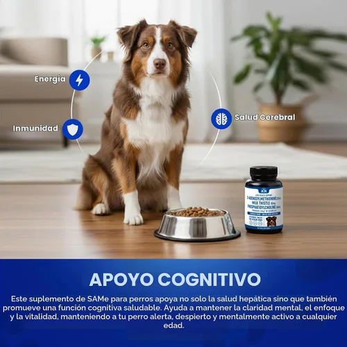 Vista 6 de Suplemento de apoyo hepático para perros medianos con silimarina (SAMe y silybina) S-adenosil-L-metionina (SAM-e) y silybum (cardo lechería)