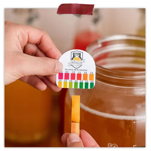 Vista 5 de Fermentaholics Kombucha SCOBY ORGÁNICO con doce onzas de té de iniciación – Cultivo de inicio en vivo – hace un lote de un galón – 1.5 tazas de té