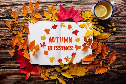 Vista 7 de 8 plantillas de pintura de otoño y otoño, plantillas de dibujo de Acción de Gracias, plantillas de plástico para manualidades, decoración del hogar