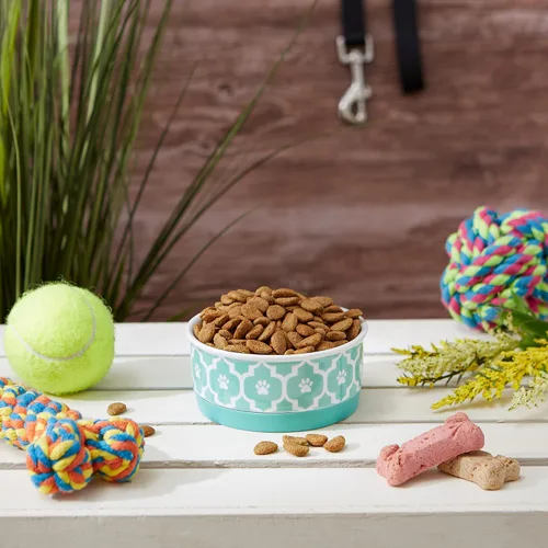 Vista 5 de Recipiente y contenedor para mascotas Bone Dry Lattice Collection, plato único, pequeño, 4.25x2 pulgadas, aguamarina