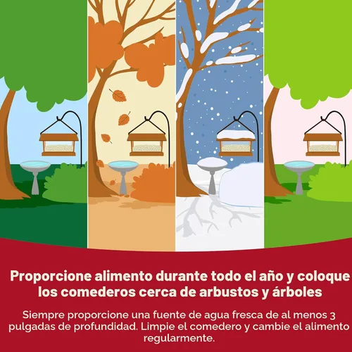 Vista 10 de Kaytee Wild Bird Mezcla de Alimento para Pinzones, 3 lb