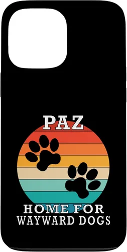 Vista 24 de Paz Home for Wayward Dogs Family Name Case for iPhone 16