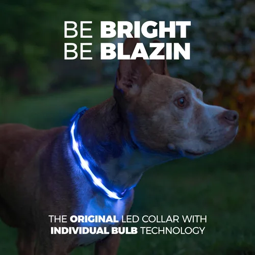 Vista 2 de Blazin - Collares luminosos para perros, collar led original para perros con 1,000 pies de visibilidad, recargable mediante USB e impermeable