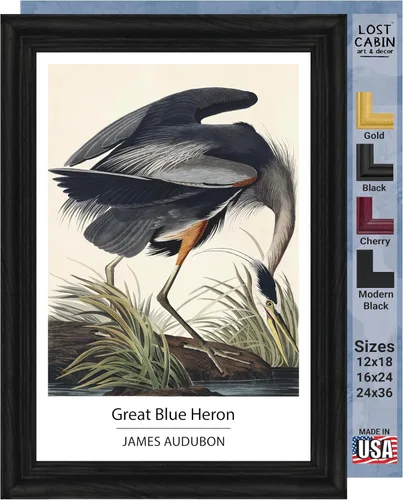 Vista 27 de Lost Cabin American Flamingo por James Audubon Impresión en marco biselado negro Reproducción de pintura de obras de arte finas Póster