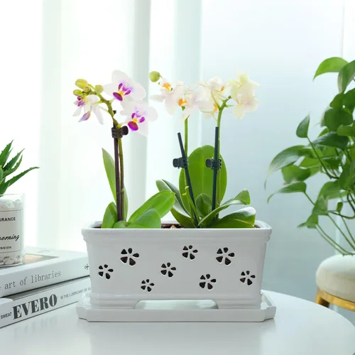 Vista 4 de Maceta rectangular de cerámica para orquídeas de 10 pulgadas con agujeros y platillo, color blanco, drenaje efectivo y ventilación para orquídeas