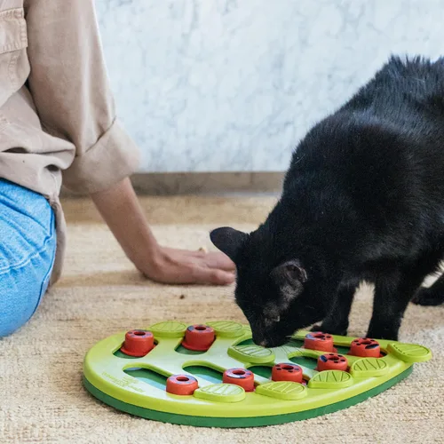 Vista 8 de Petstages rompecabezas interactivos para gatos, alimentador lento y juguetes dispensadores de bocadillos Level 2 Intermediate, 16 Hidden Treat