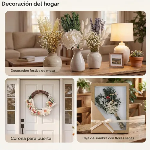 Vista 7 de LUXEEASE 11 tipos de mini ramo de flores secas mixtas con tallos, 176 Neutrales Naturales