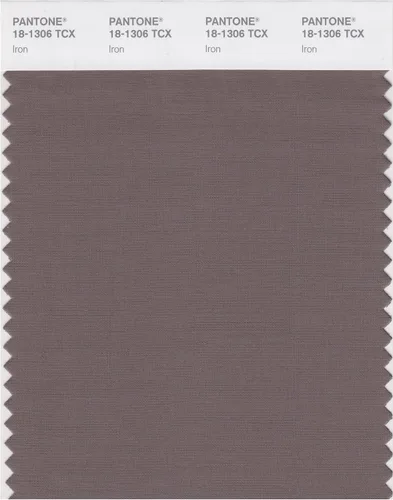 Vista 5 de PANTONE Tarjeta de muestra de color inteligente 18-1314X, bellota