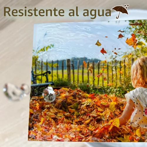 Vista 3 de Koala Papel fotográfico recubierto de resina 5x7 pulgadas Luster Photo