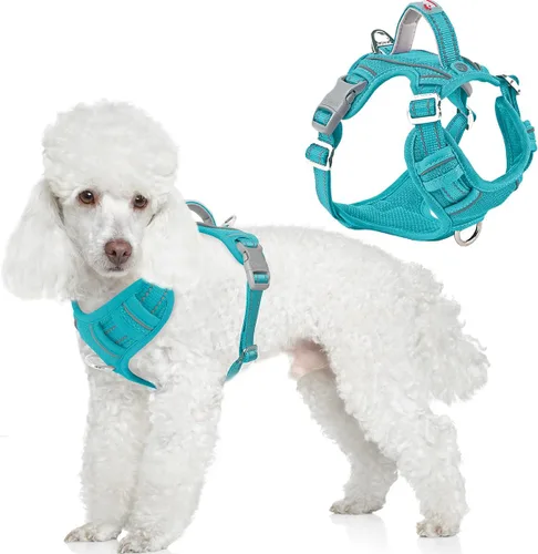 Vista 34 de BARKBAY Arnés Oxford sin tirones para perro con bolsillo para etiqueta de identificación, resistente, reflectante, fácil control para perros grandes
