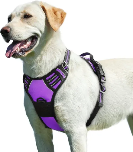 Vista 23 de Eagloo Arnés para perro pequeño, sin tirones, chaleco de servicio con tiras reflectantes y asa de control, ajustable y cómodo para caminar, arnés